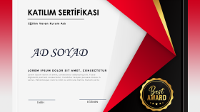 Sertifika Tasarımları