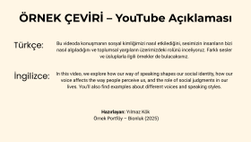 Profesyonel Türkçe-İngilizce Metin Çevirisi