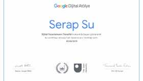 Google Certificate