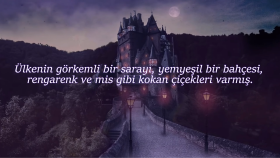 Stilistik Altyazı Tasarımı