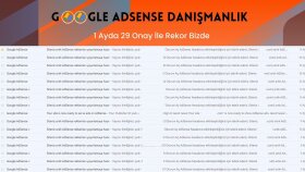 1 Ayda 29 Adsense Onayı Aldık.