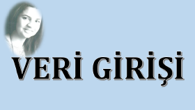 istediğiniz platforma veri girişinizi yapabilirim