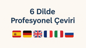Profesyonel Metin Çevirisi