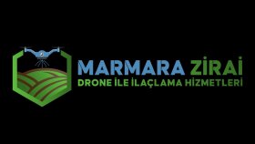 Örnek Logo Tasarımı