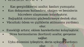 Sosyal medya tasarım