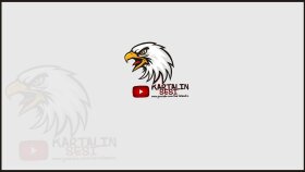 Sosyal Medya ve Logo Tasarımlarımız