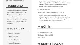 size özel profesyonel cv de yardım ederim