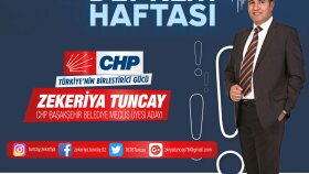 Broşür & Katalog Tasarımı