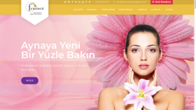 Seo uyumlu web sitesi yapıyorum