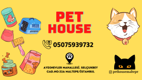 Pet house web site banner