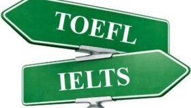 PROFESYONEL ÇEVİRİ