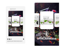 Sosyal Medya Reels Reklam Tasarımı