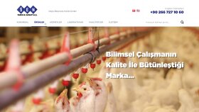 işletmenize müşteri kazandıran web siteleri hazırlıyorum