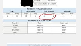 Profesyonel koçluk ve özel ders