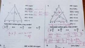 geometri dersi verebilirim