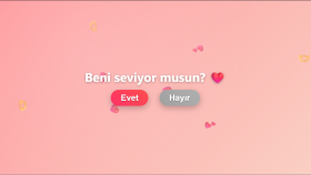 Web Tasarımları