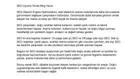 SEO Uyumlu Örnek Blog Yazısı