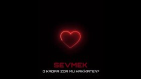 Profesyonel seslendirme sanatçısıyım seslendiriyorum