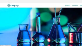 GNN Kimya Web Sitesi Tasarımı