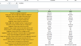 Soru-Cevap Excel Veri Düzenleme