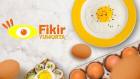 Yumurtacı Logo - Konsept Tasarım