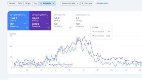 Search Console Performans Özeti 