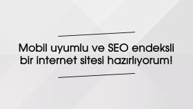 mobil uyumlu ve profesyonel bir internet sitesi hazırlıyorum