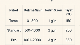 teknik ve akademik metinleri özenle çeviririm