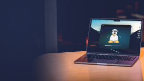 linux – windows işletim sistemleri kurulumu yapabilirim
