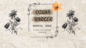 istediğiniz konuya uygun şiir yazabilirim