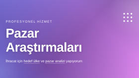 ihracat için hedef ülke ve pazar araştırması yaparım