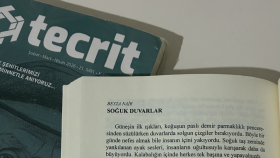 TECRİT EDEBİYAT DERGİSİNDE; "SOĞUK DUVARLAR"