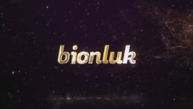 Elit Logo İntro