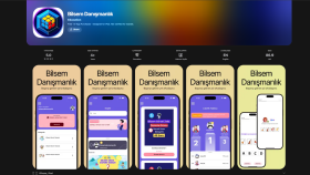 Bilsem Danışmanlık