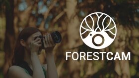 ForestCam - Konsept Logo Çalışması