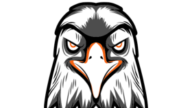  logo yaparım