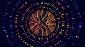 WGS verilerinize biyoinformatik danışmanlık sağlıyorum