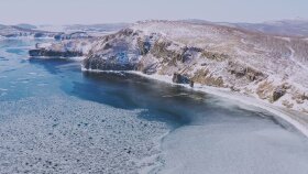 boreal ormanları