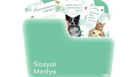 Pati Dostu Sosyal Medya Tasarımı 