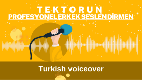 Seslendirme