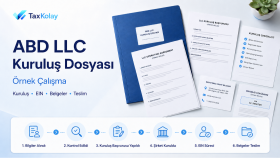 ABD LLC Kuruluş Süreci – Örnek Çalışma