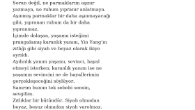 Zıtlıkların Gücü