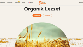 Kolay Kullanımlı E-Ticaret Siteleri Hazırlıyorum