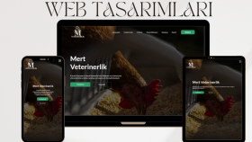 html ve css ile modern ve responsive web siteleri kodluyorum