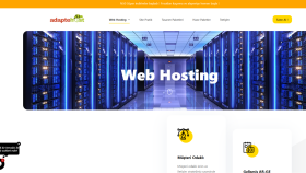 Hosting Sitesi Tasarımı