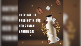 Oat Vital - Banner