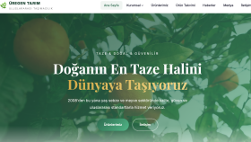 müşterilerinizi etkileyebileceğiniz websiteleri yapıyorum
