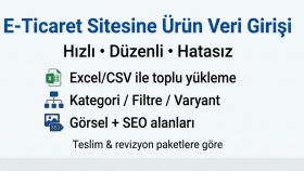 e-ticaret sitenize hızlı ve hatasız ürün veri girişi yaparım