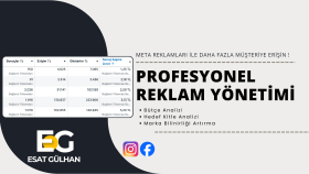 reklamlarınızı profesyonel olarak yönetebilirim