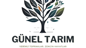 Firmanıza Renk Katalım
